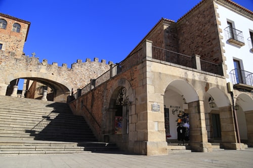 almogrote-canario-multitienda-milana-bonita
